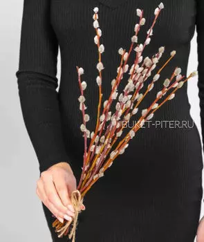 Букет Вербы