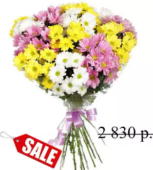 Букет Ярких Кустовых Ромашковых Хризантем