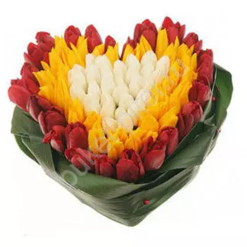 Композиция из 109 тюльпанов в форме сердца