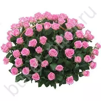 Корзина с розовыми розами