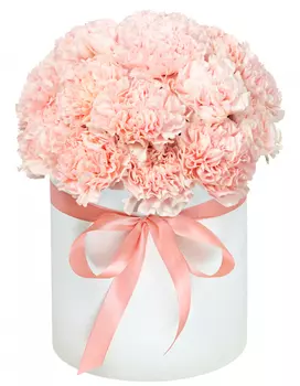 Розовые гвоздики в Белой Шляпной Коробке