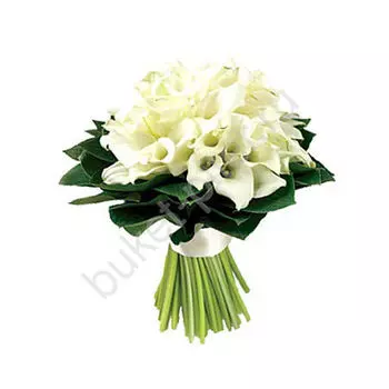 Свадебный букет из 51 белой каллы и зелени
