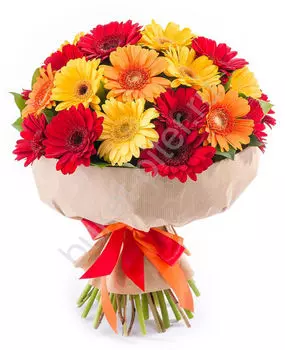 Яркий букет из Гербер Mix