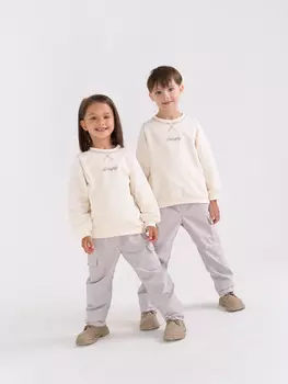 Брюки демисезонные "Пепел"