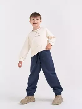 Брюки демисезонные "Шторм"