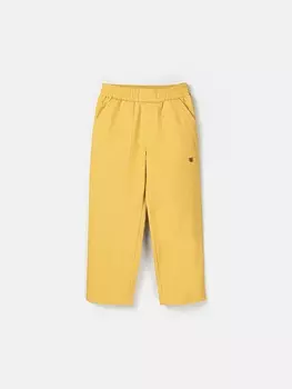 Брюки карго "Цитрон"