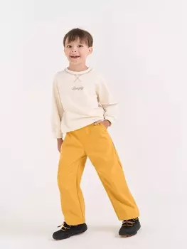 Брюки Softshell демисезонные "Горчица"