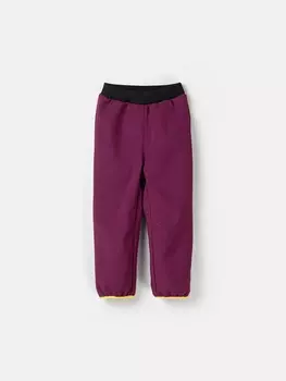 Брюки Softshell демисезонные "Слива"