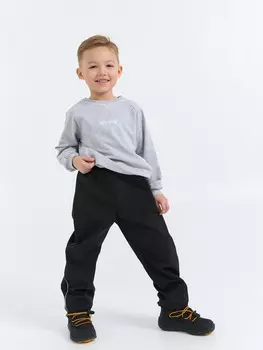 Брюки Softshell демисезонные "Уголь"