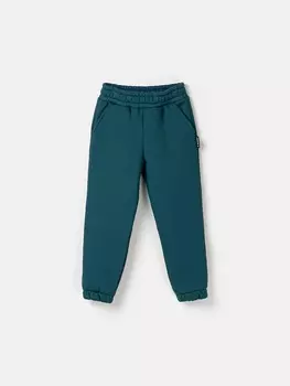 Джоггеры "Атлантик" с карманами утепленные