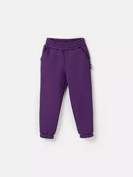 Джоггеры "Фиалка" с карманами утепленные