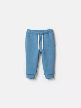 Джоггеры "Голубика" утепленные 0+