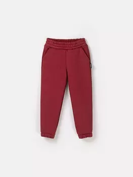 Джоггеры "Мерло" с карманами утепленные