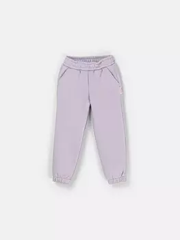 Джоггеры "Вереск" с карманами утепленные