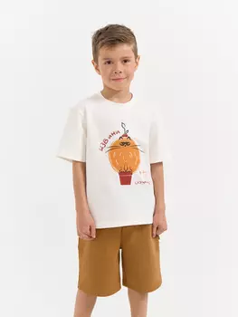 Футболка "Котошар"