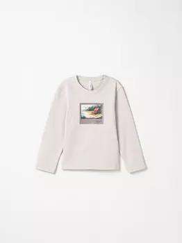 Лонгслив "Серая дымка" с принтом