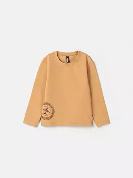 Лонгслив "Штрудель" с принтом