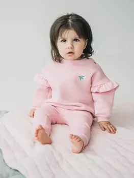 Свитшот с крылышками "Роза" утепленный 0+