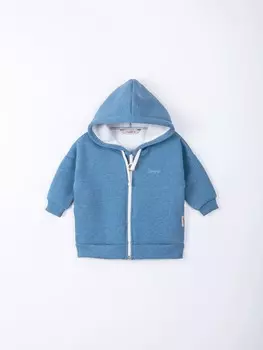 Толстовка "Голубика" утепленная