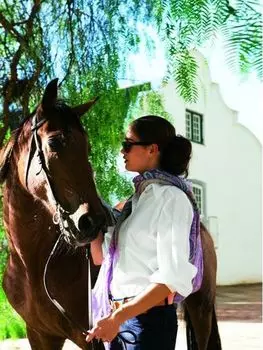 Выкройка: Блузка