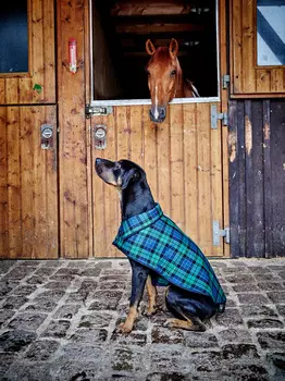 Выкройка: Попонка для собаки