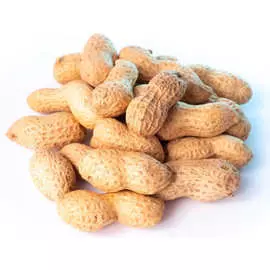 Арахис в скорлупе 110г