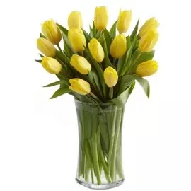 Букет из желтых тюльпанов 15шт