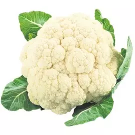 Капуста цветная 1,5 кг