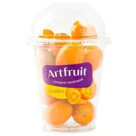 Кумкват шейкер Artfruit 200г