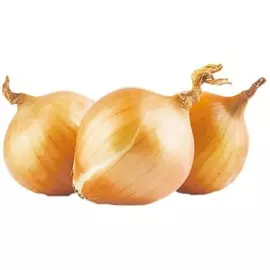 Лук репчатый Эконом 2,5кг.