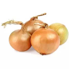 Лук репчатый новый урожай 1кг