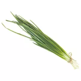 Лук зеленый перо "В" 100г