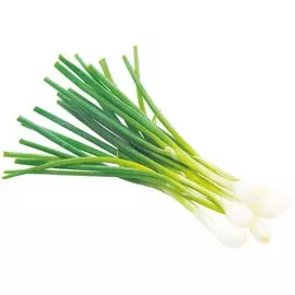 Лук зеленый "В" 150г