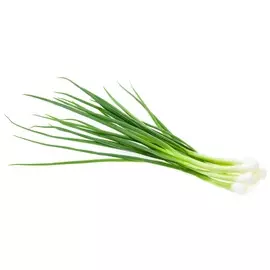 Лук зеленый в пакете 100г