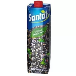Напиток сокосодержащий черная смородина Santal 1л
