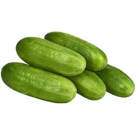 Огурцы Бакинские 450г