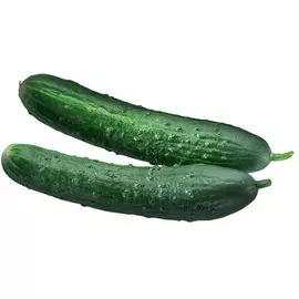 Огурцы среднеплодные колючие 450г