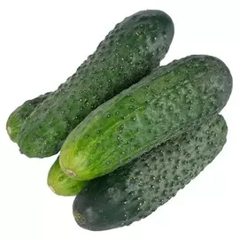 Огурцы среднеплодные колючие "В" 450г