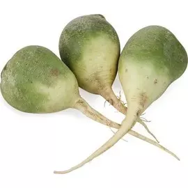 Редька зеленая 1кг