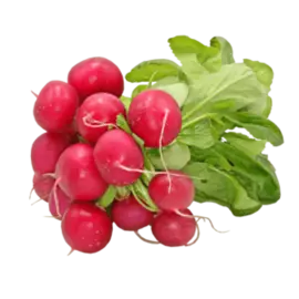 Редис пучок 300г