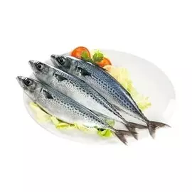 Скумбрия 1 кг