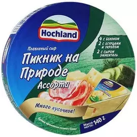 Сыр плавленный пикник на природе Hochland 140 г