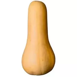 Тыква Баттернат 4 кг, 1 шт