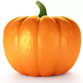 Тыква круглая 1кг