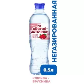 Вода питьевая негазированная с ароматом клюквы, брусники и экстрактом клюквы Святой Источник 0,5л