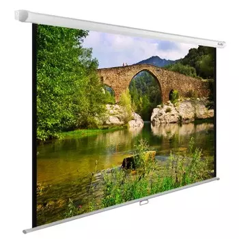 Экран Cactus WallExpert CS-PSWE-220x165-WT 110" 4:3 настенно-потолочный рулонный