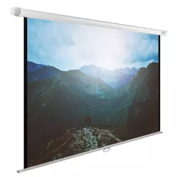 Экран Cactus WallExpert CS-PSWE-240x240-WT 130" 1:1 настенно-потолочный рулонный