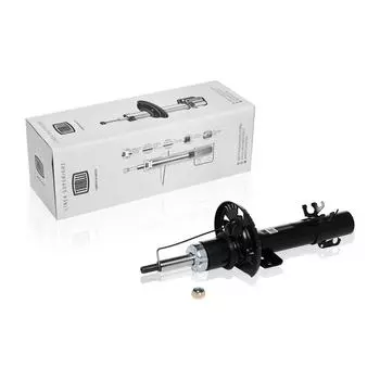 Амортизатор (стойка) передний для автомобиля VW Polo (09-)/Rapid (12-) TRIALLI