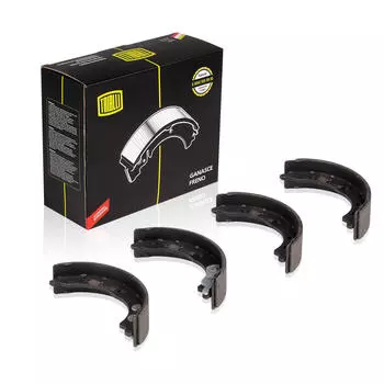 Колодки тормозные барабанные для автомобилей Fiat Ducato 230, 244 170х42 TRIALLI