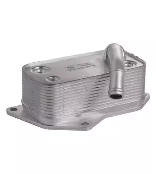 Радиатор масляный для автомобилей BMW 5 (03-)/X5 (06-) LUZAR